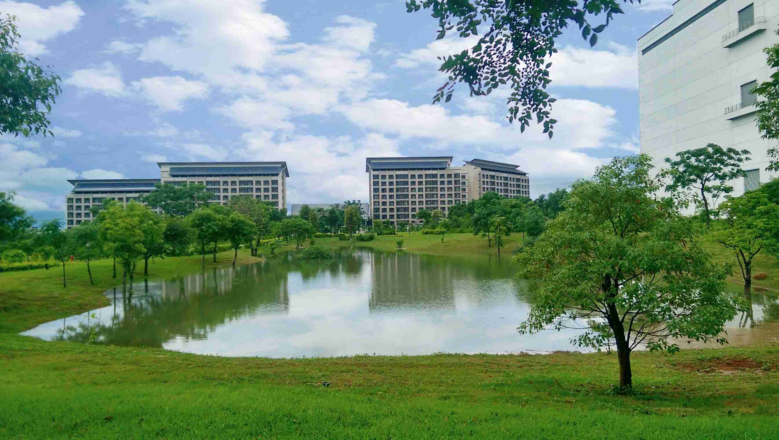 OBPay响应国际倡议生物多样性趋势，，，，首次发布TNFD自然相关财务揭露报告书，，，，擘划及开展OBPay生物多样性政策之承诺，，，逐步迈向与自然和谐共生